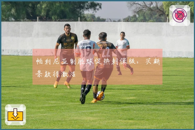帕利尼亚制胜球促热刺保级,买断条款待激活
